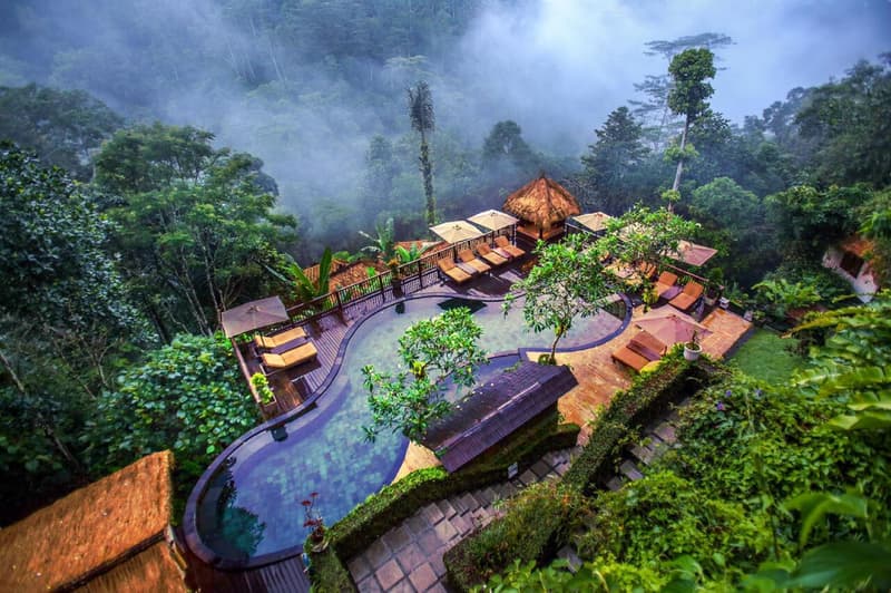 Nandini Jungle Resort And Spa
