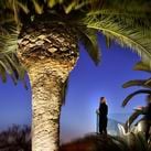 Sardegna