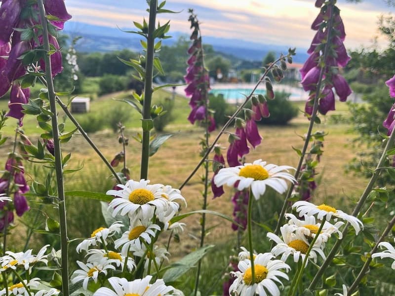 Camping Montbartoux
