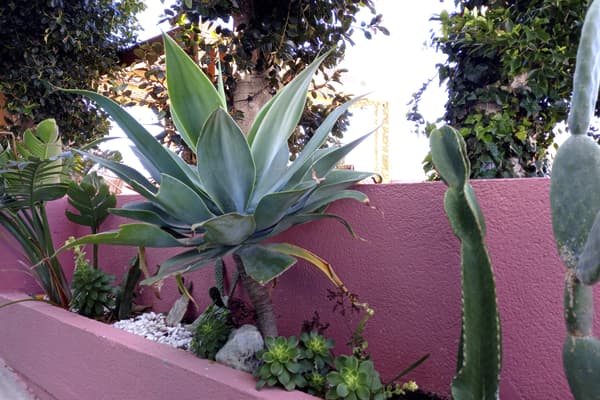 Hostal Bajio-1