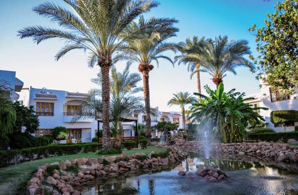 Dive Inn Resort-1