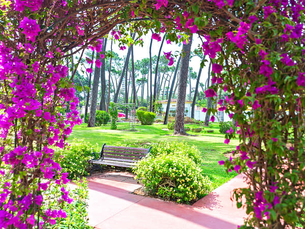 AluaSun Marbella Park-1