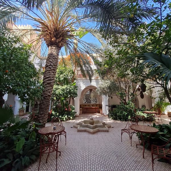 Riad Ifoulki-1