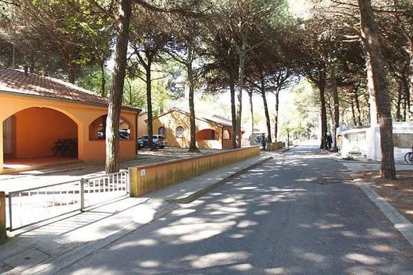 Camping Mare e Pineta-1