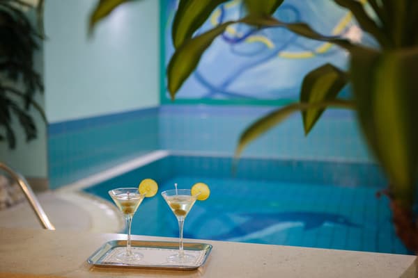 Villa Bacchus-1