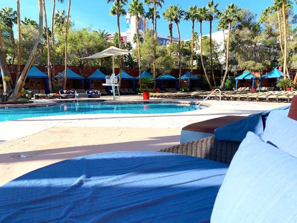 Treasure Island - Ti, A Radisson Hotel-1