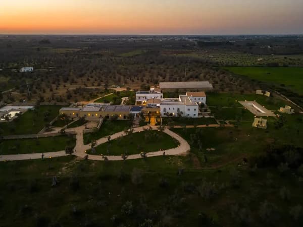 Secolario Masseria Del Viverbene-1