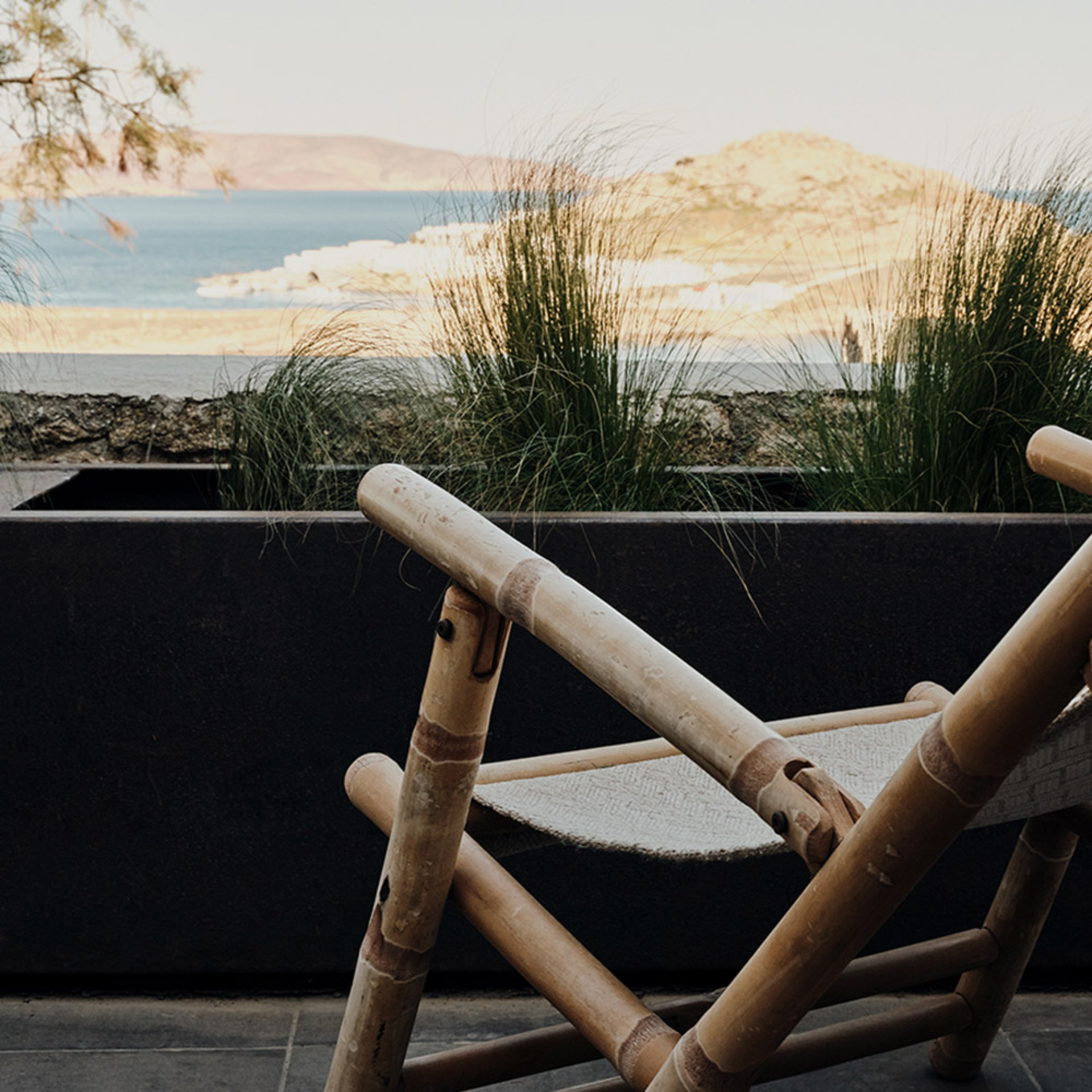 The Wild Hotel By Interni