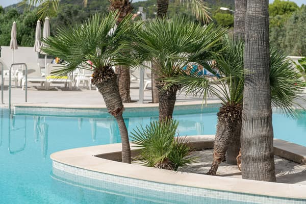Hotel Cala Bona-1