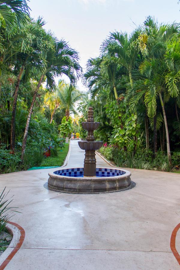 Occidental Cozumel-1