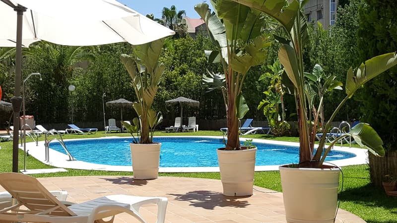 Trh La Motilla