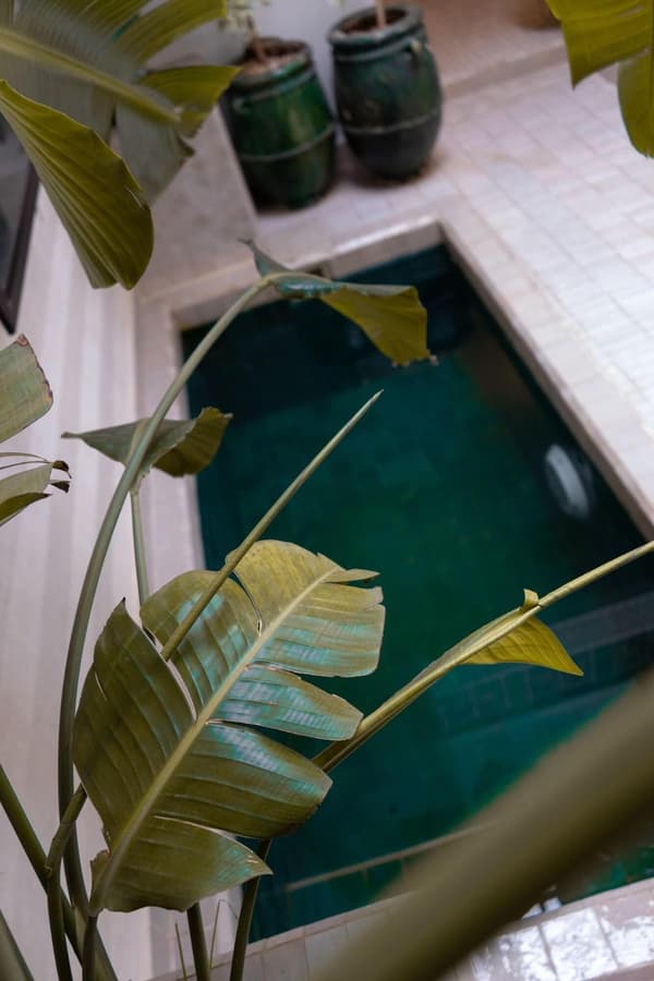 Riad Beata-1
