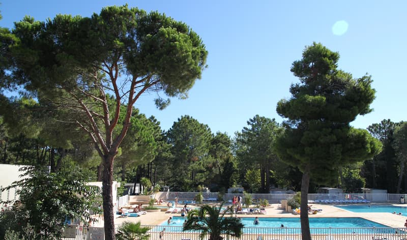 Camping Taxo-les-Pins