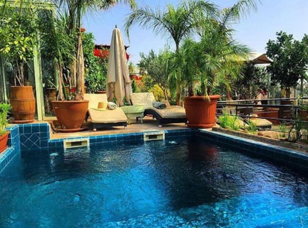 Riad Moullaoud-1