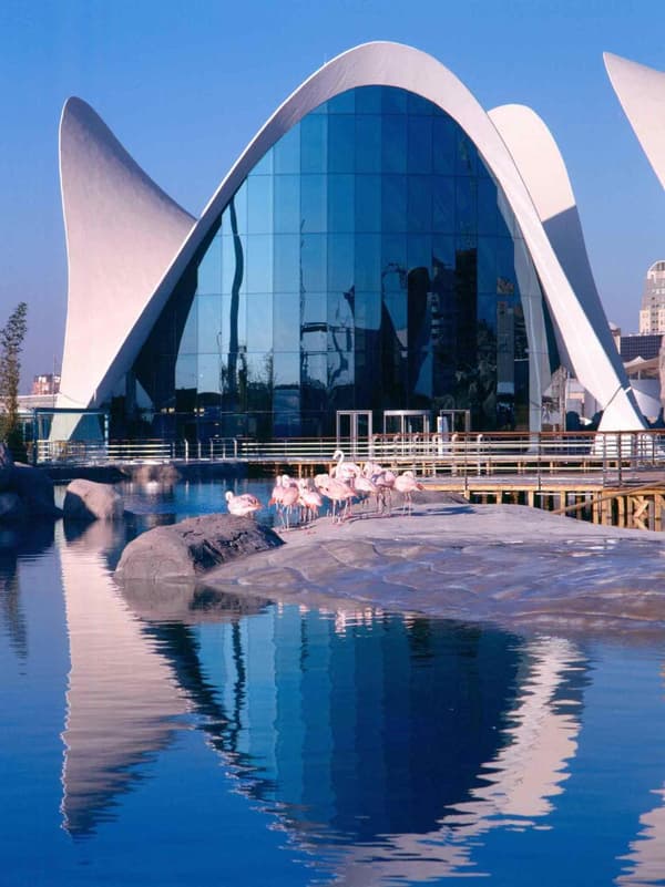 Ibis Alfafar-1