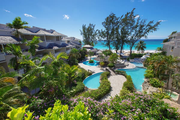 Bougainvillea Barbados-1