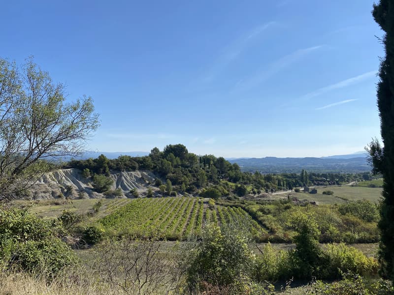 Camping Le Domaine des Chênes Blancs