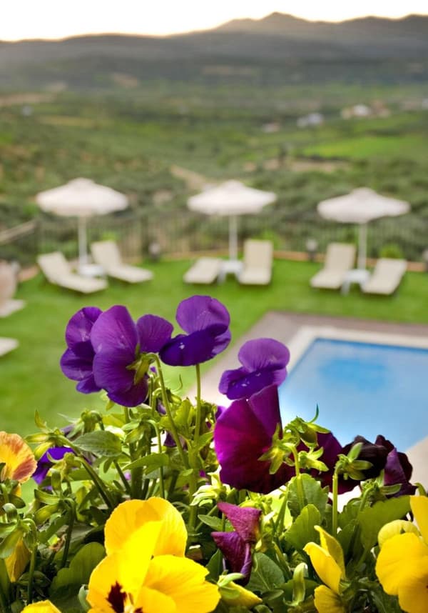 Katalagari Country Suites-1