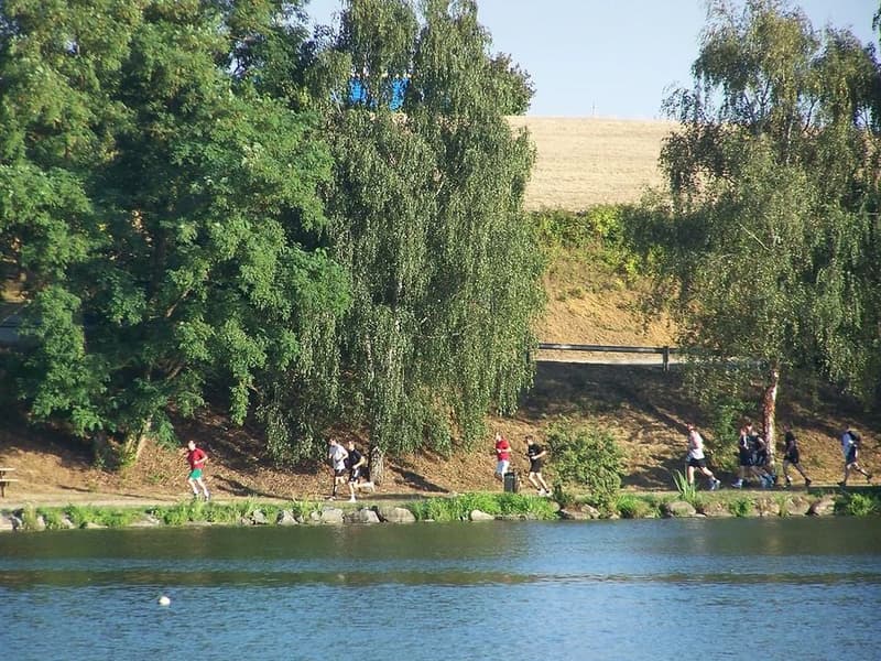 Camping du lac Pouzauges