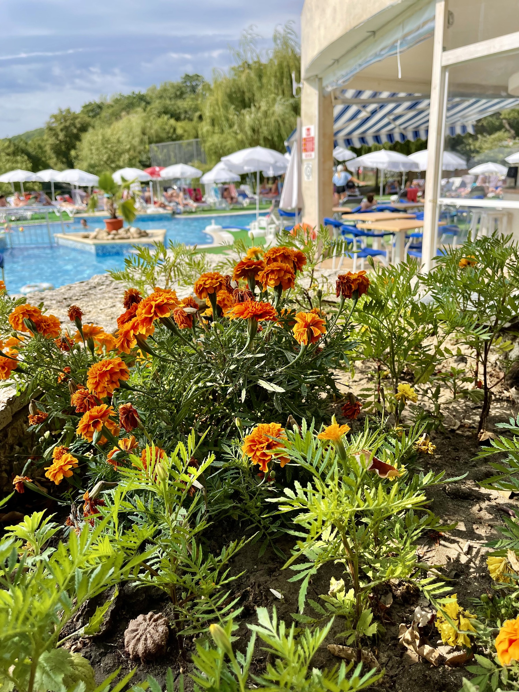 BSA Holiday Park