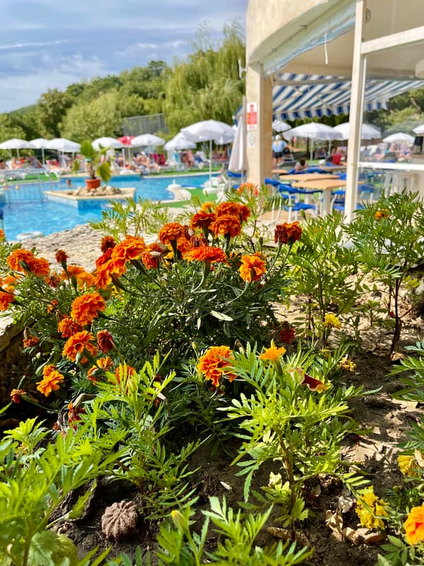 BSA Holiday Park-1