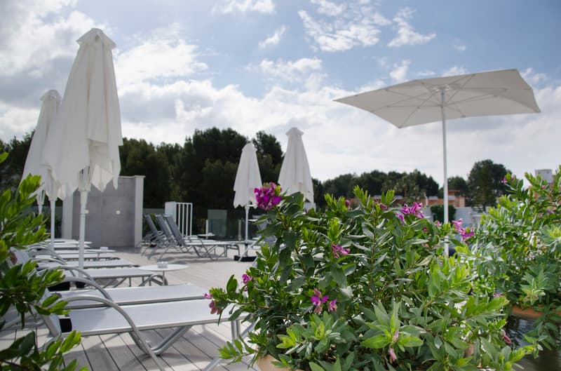 BQ Paguera Boutique Hotel