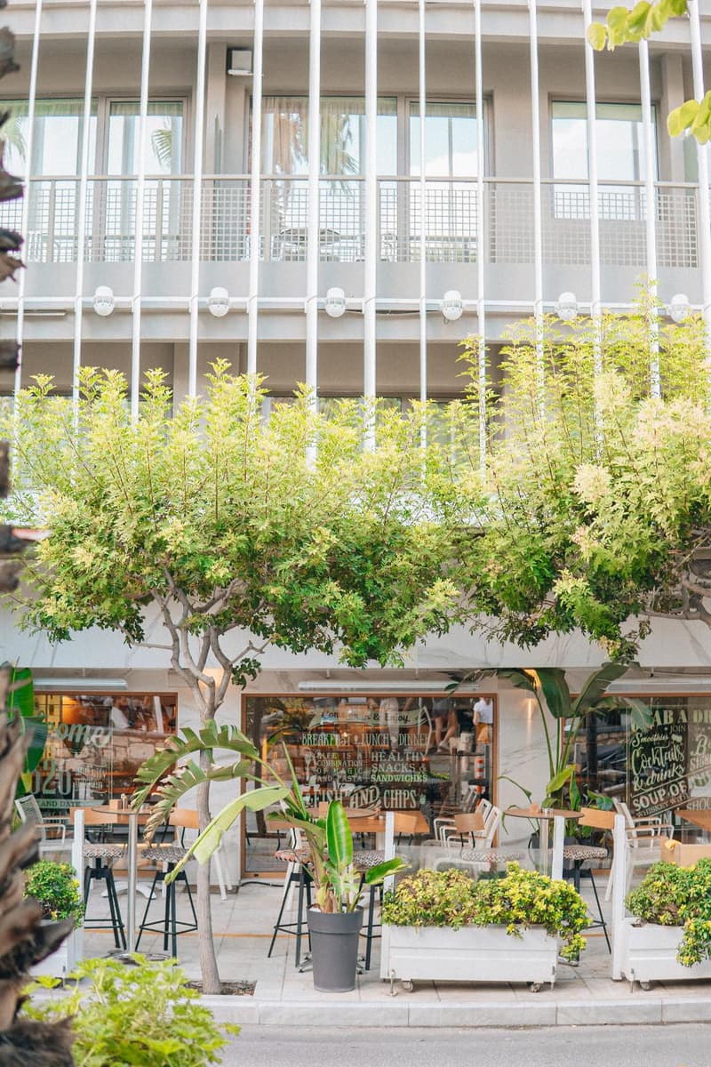 Olive Green Hotel