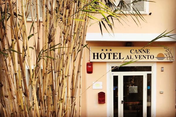 Canne Al Vento-1