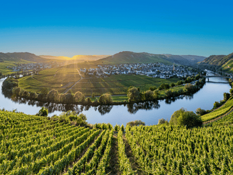 Vakantie in Rheinland Pfalz