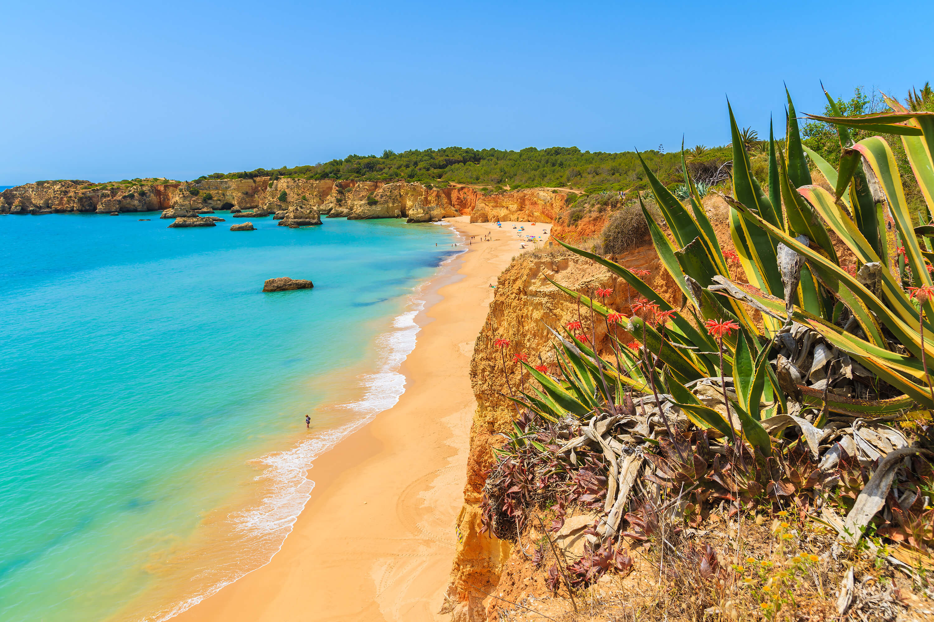 Vakantie boeken naar Praia da Rocha
