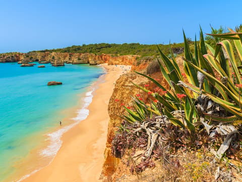 Vakantie boeken naar Praia da Rocha
