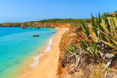 Vakantie naar Praia da Rocha