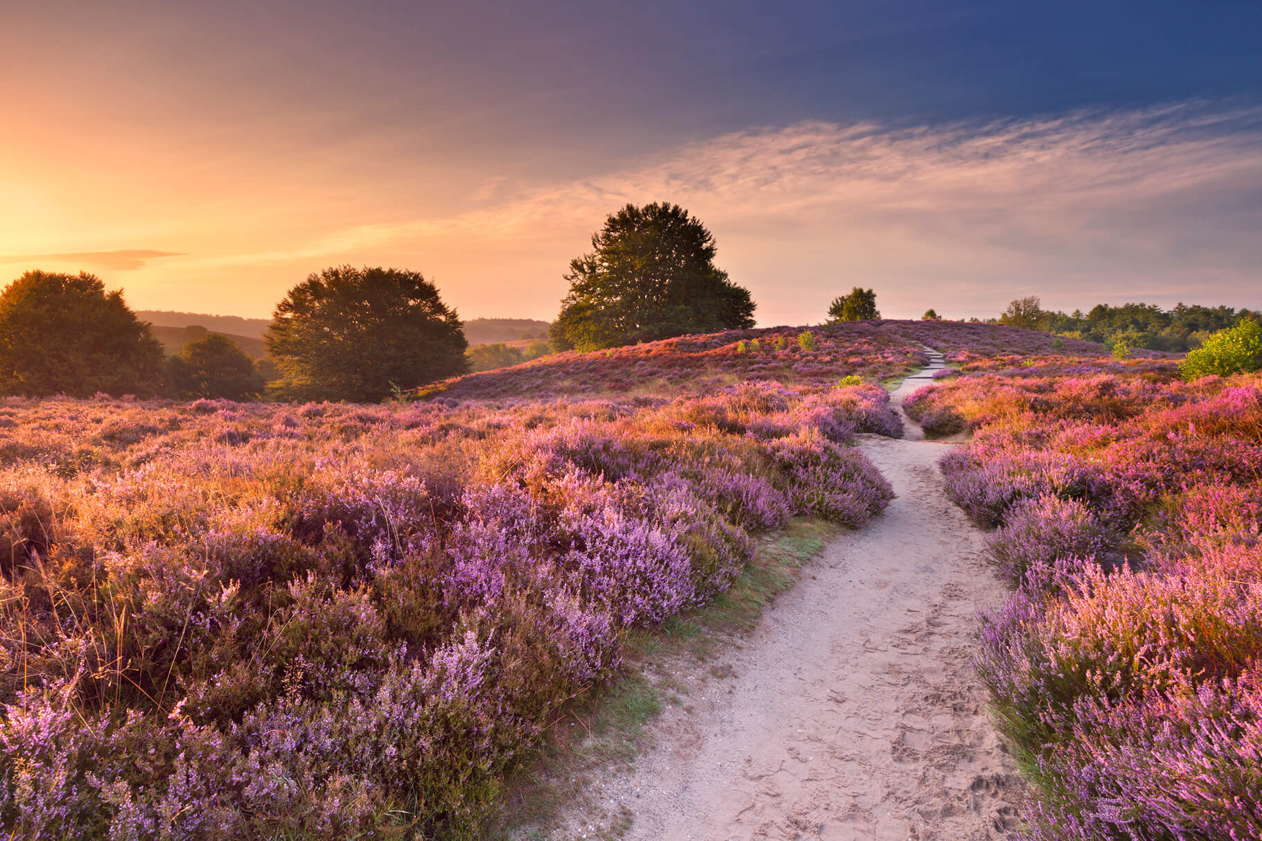 Vakantie Gelderland