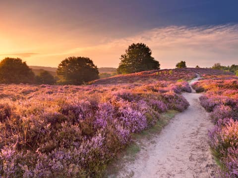 Vakantie Gelderland