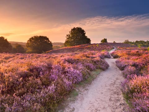 Vakantie Gelderland