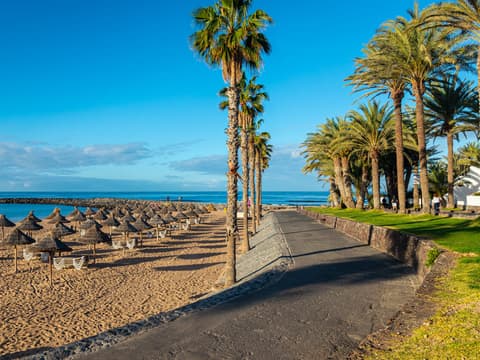 Vakantie boeken naar Playa de las Américas