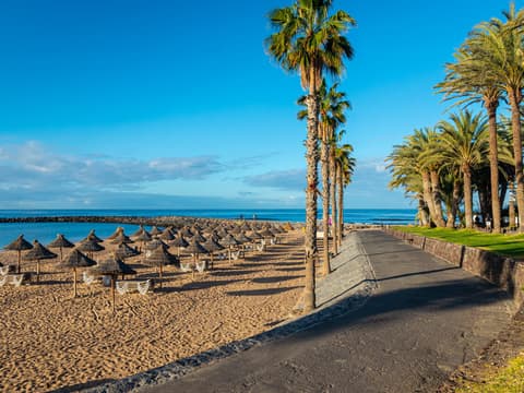 Vakantie naar Playa de las Américas