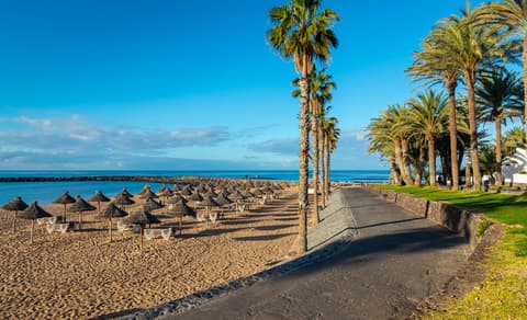 Vakantie naar Playa de las Américas