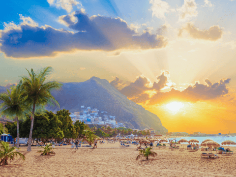 Vakantie naar Tenerife