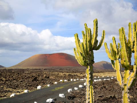 Wat is het leukste Canarische eiland: Lanzarote of Fuerteventura?