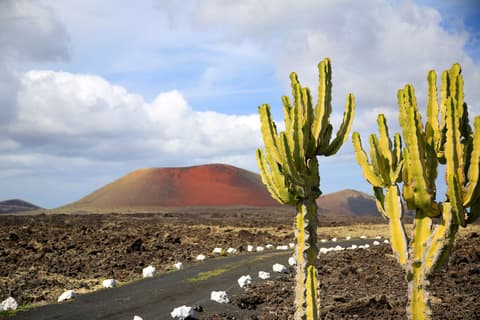 Wat is het leukste Canarische eiland: Lanzarote of Fuerteventura?