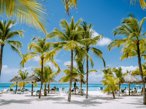 Vakantie naar Aruba
