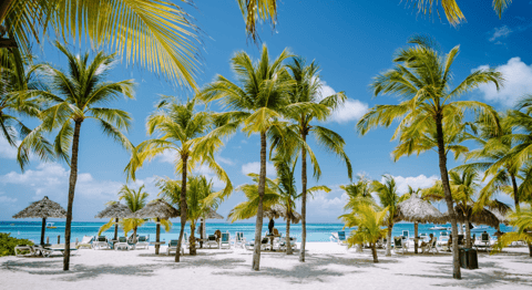 Vakantie naar Aruba