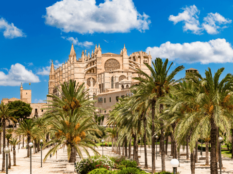 Vakantie boeken naar Mallorca