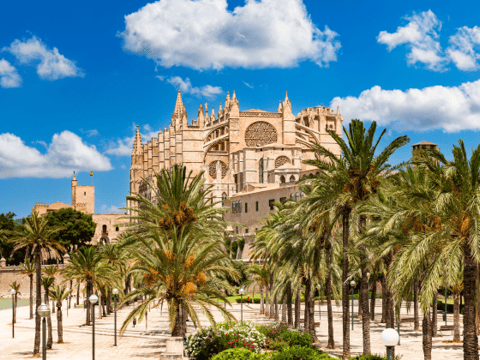Vakantie naar Mallorca
