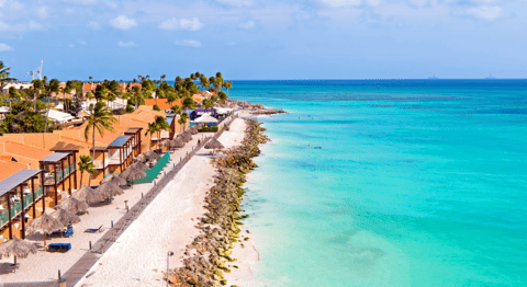Vakantie Druif beach