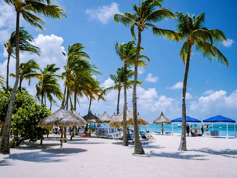 Vakantie Palm Beach