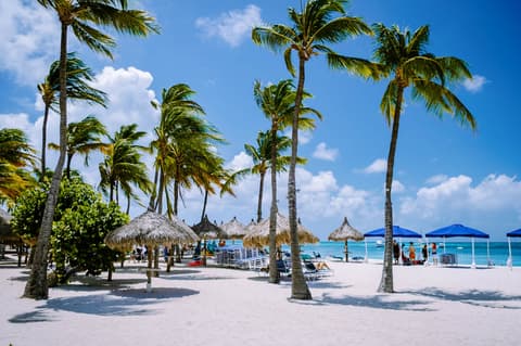 Vakantie Palm Beach