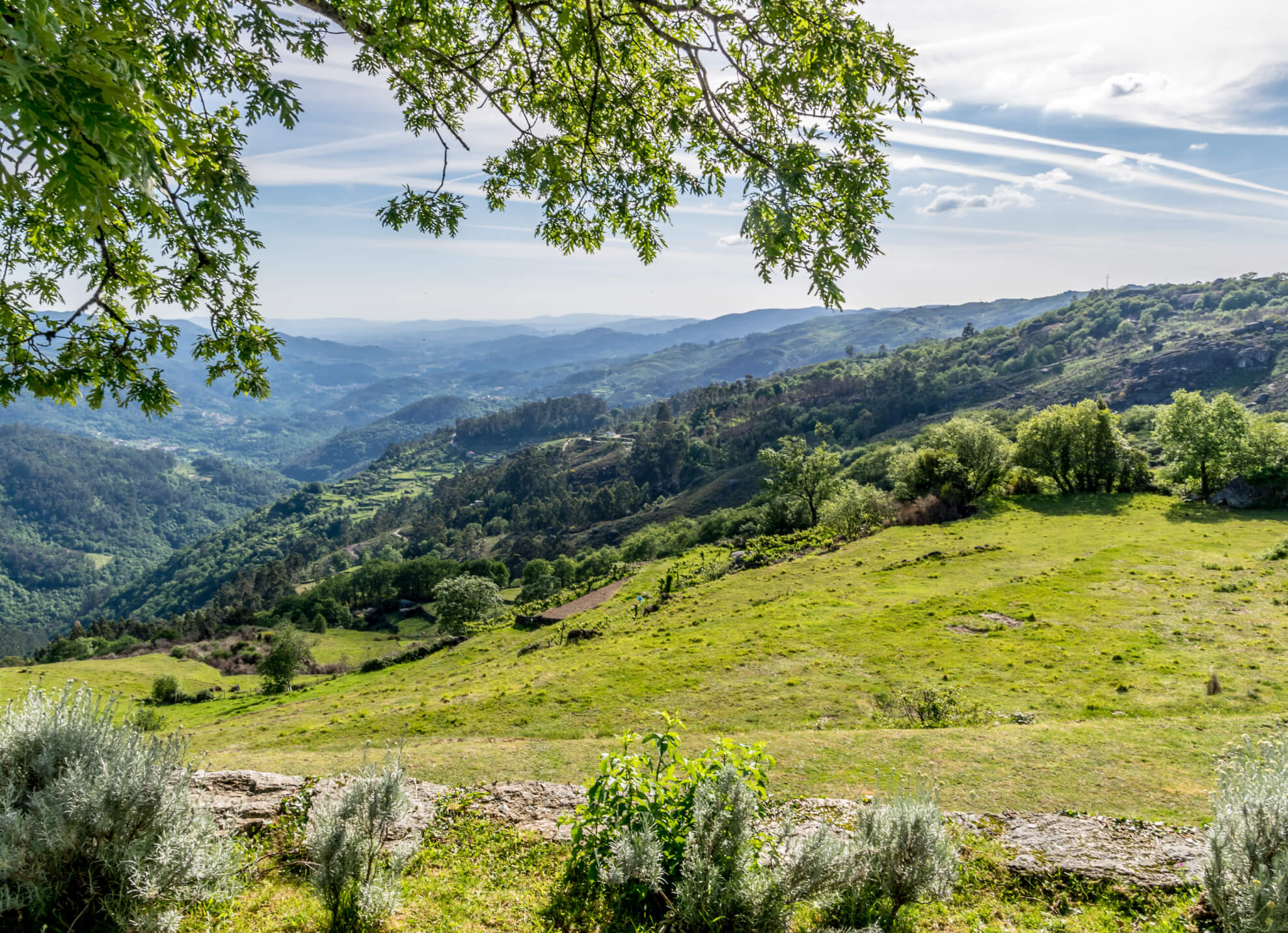 Vakantie Vila Nune