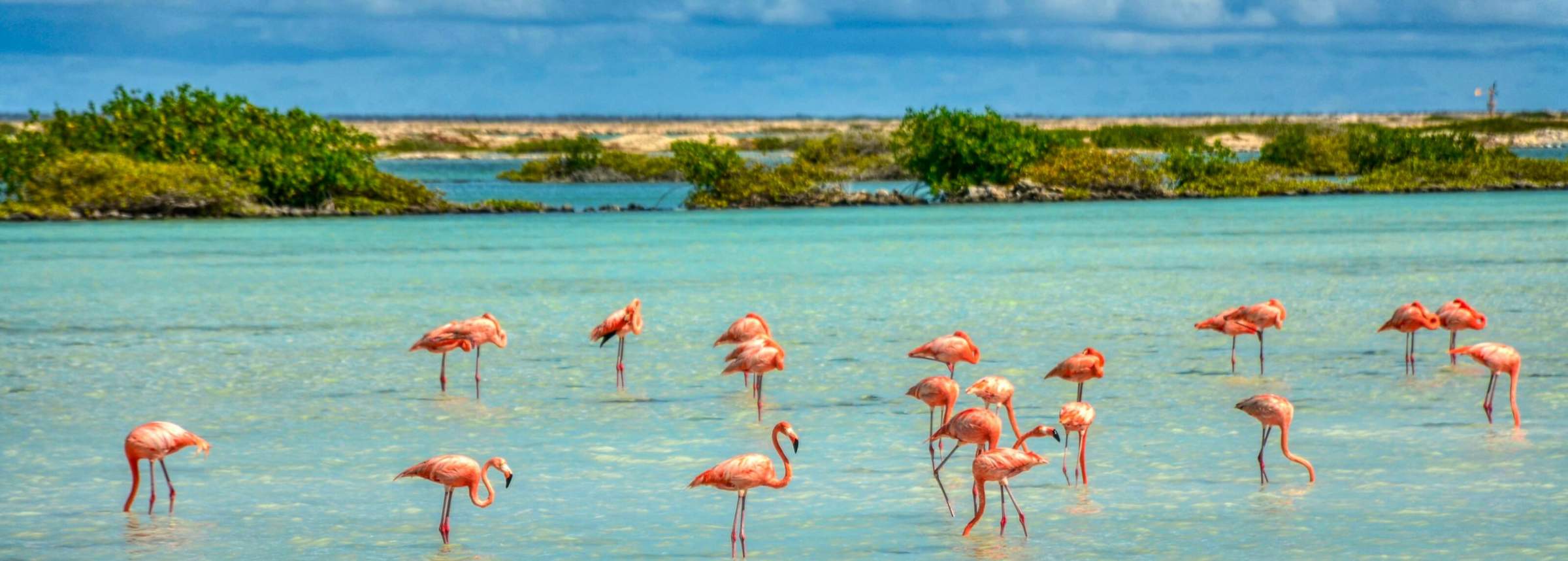 Header image Bonaire (desktop)